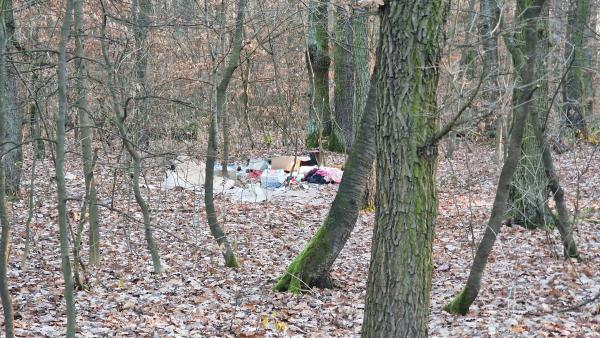 Odpadky, černá skládka, vraky