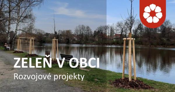 Ilustrační obrázek k projektu Zeleň v obci