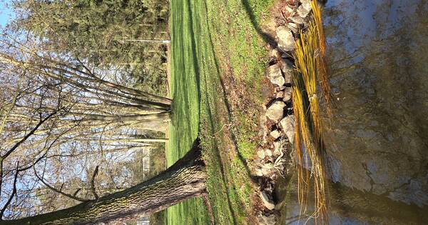 20260406_093634 (16)