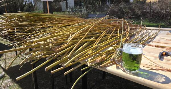 20260406_093634 (25)