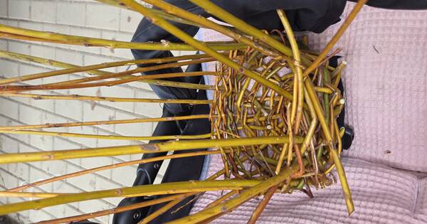 20260406_093634 (30)