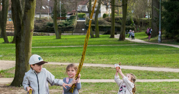 20260406_093638 (10)