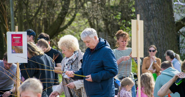 20260406_093640 (11)