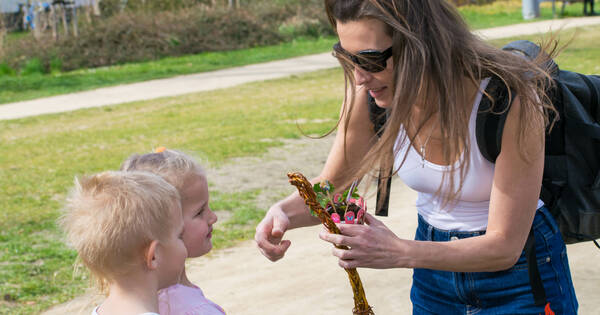 20260406_093642 (10)