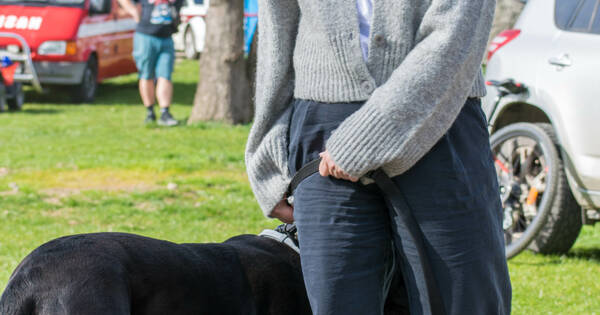 20260406_093642 (31)