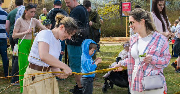 20260406_093644 (12)