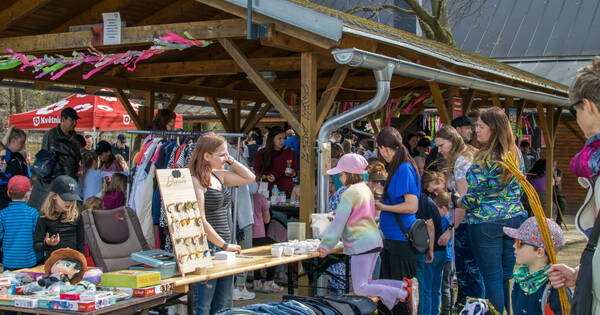 20260406_093644 (21)