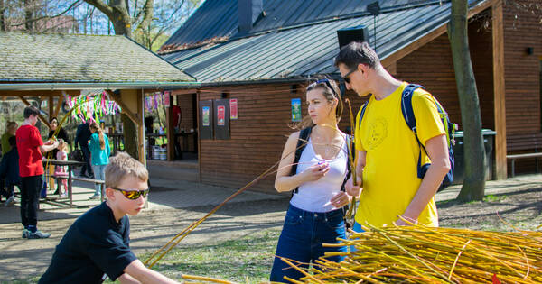 20260406_093646 (21)