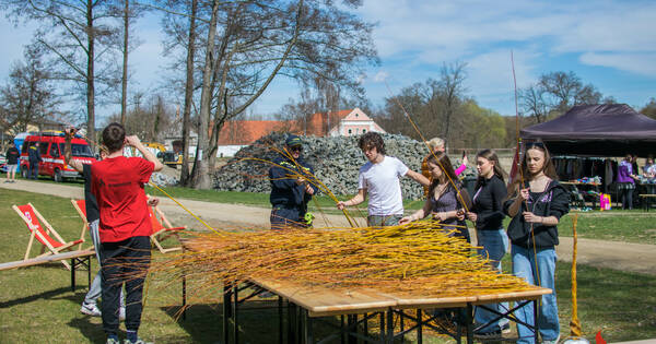 20260406_093648 (15)