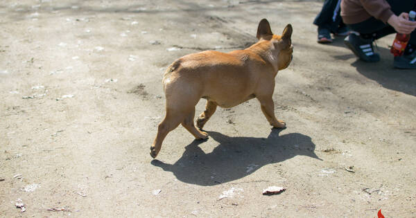 20260406_093648 (16)