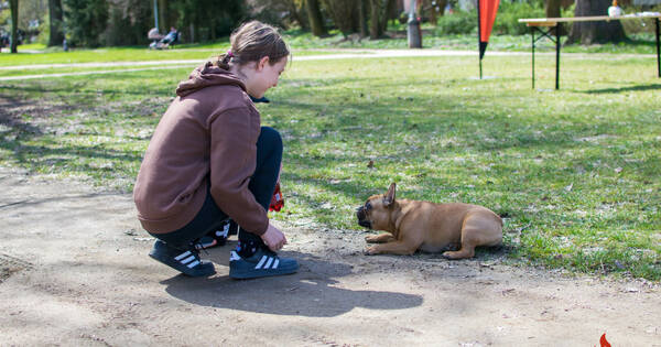 20260406_093648 (17)