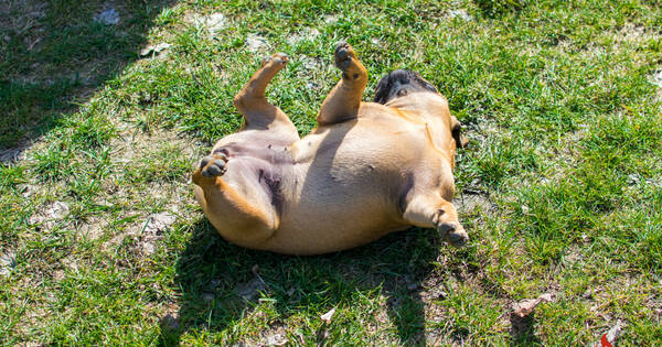 20260406_093648 (19)