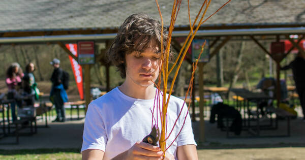 20260406_093648 (25)