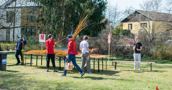 20260406_093648 (31)