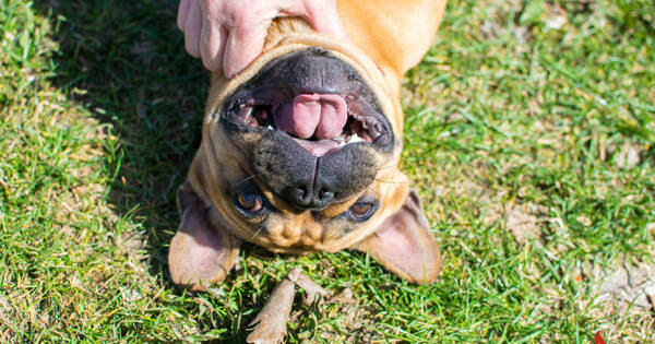 20260406_093650 (10)