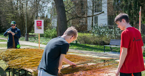 20260406_093650 (12)