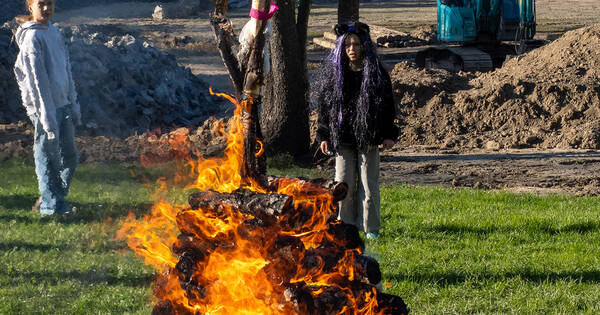 P4300299