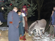 gal36_obr1418898576_93