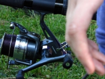 gal17_obr1308277654_27