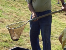 gal17_obr1308277656_234