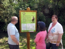 gal15_obr1305018374_115