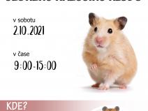 plakat_A4 (002)