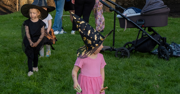 ZP4300416_web