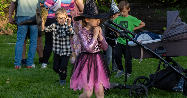 ZP4300417_web