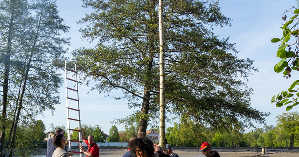ZP4300294_web