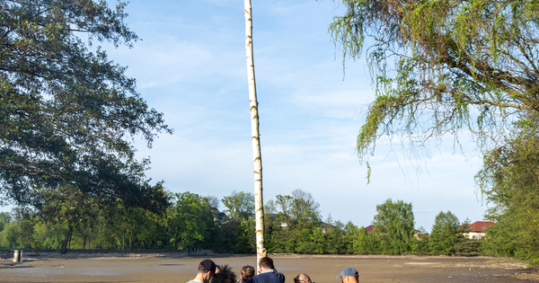 ZP4300295_web