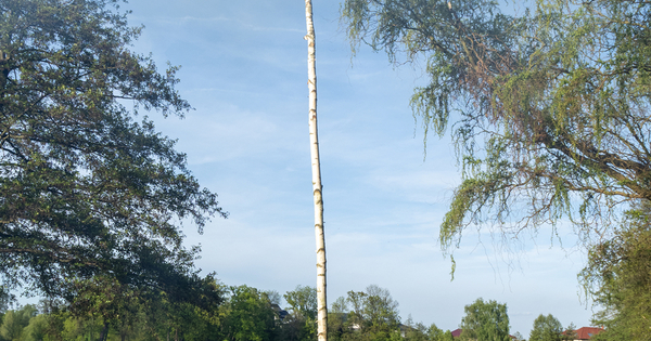 ZP4300297_web