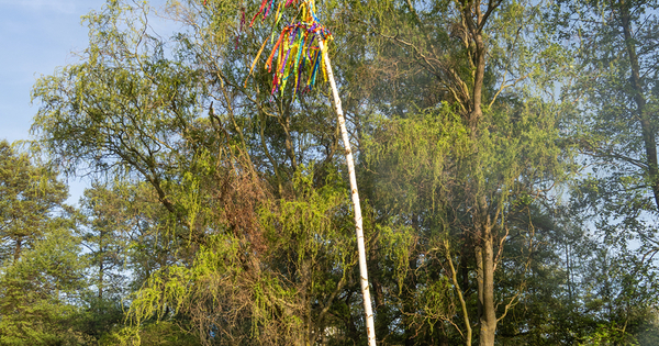 VP4300132_web